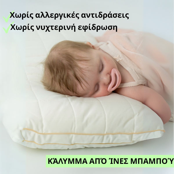 MINIDREAM