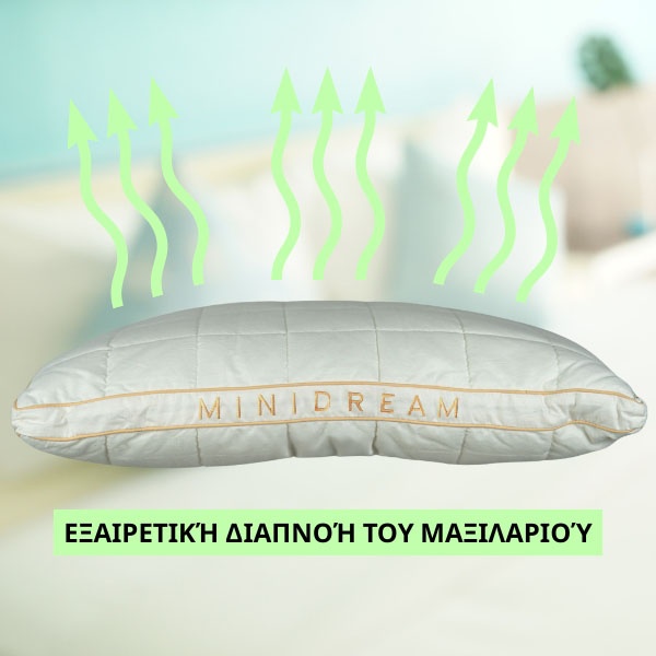 MINIDREAM