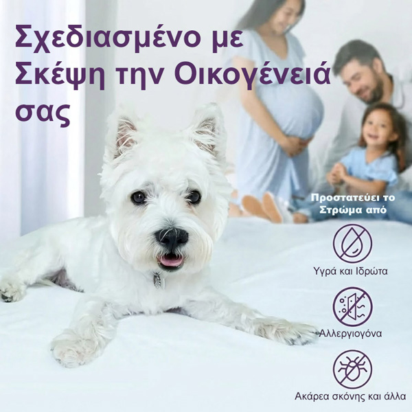 CLOUDREAM-3831127613059-GR-5__311225